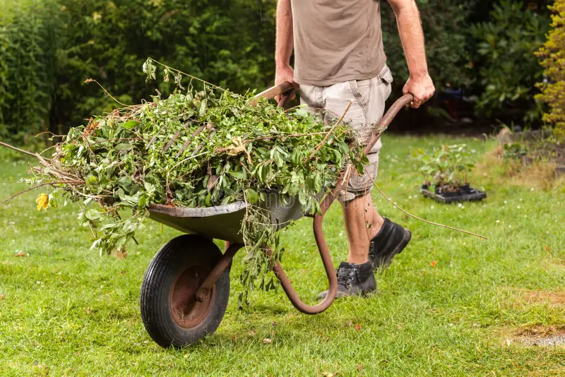 Tuinproject van Mur Hoveniers