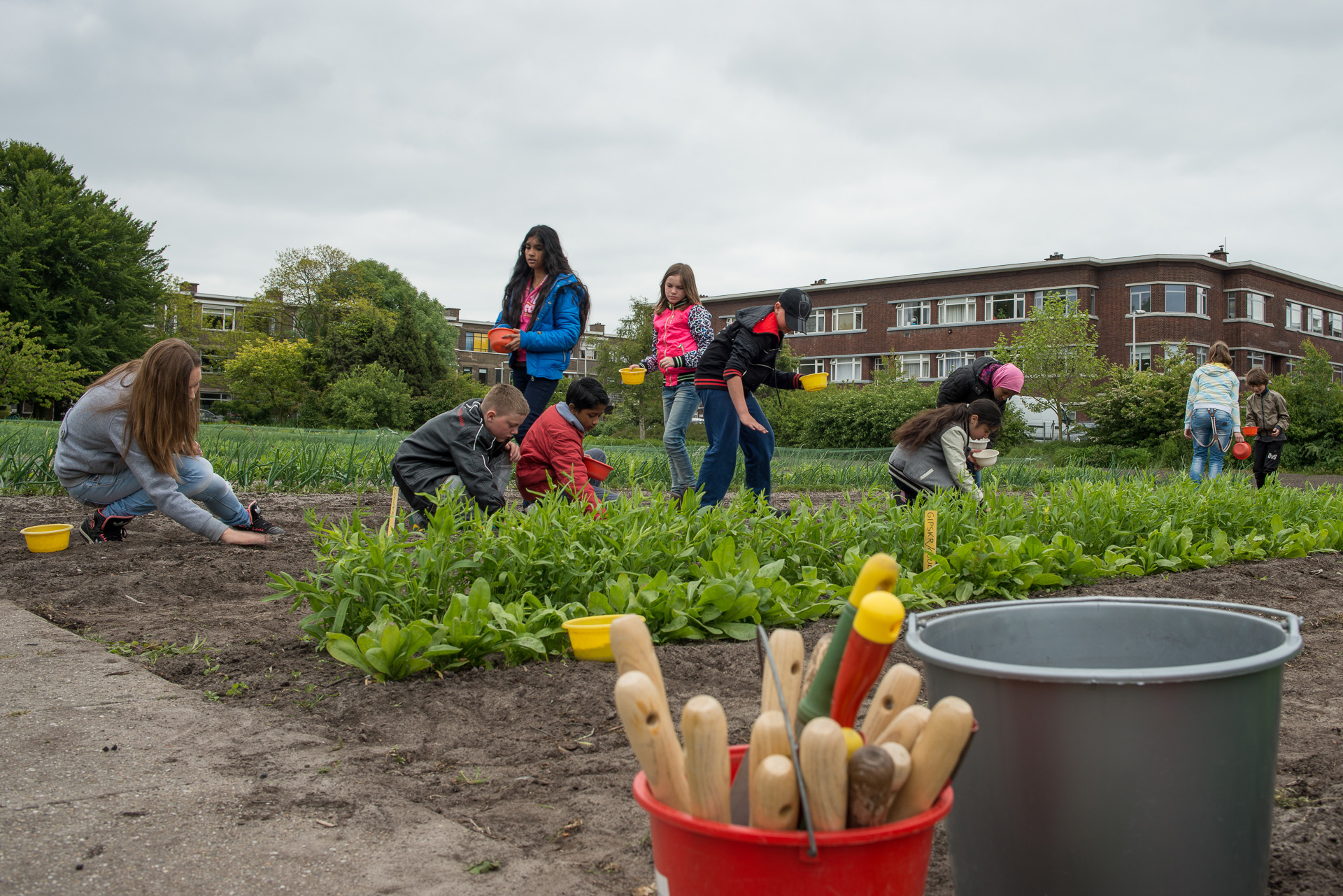 Tuinproject van Mur Hoveniers